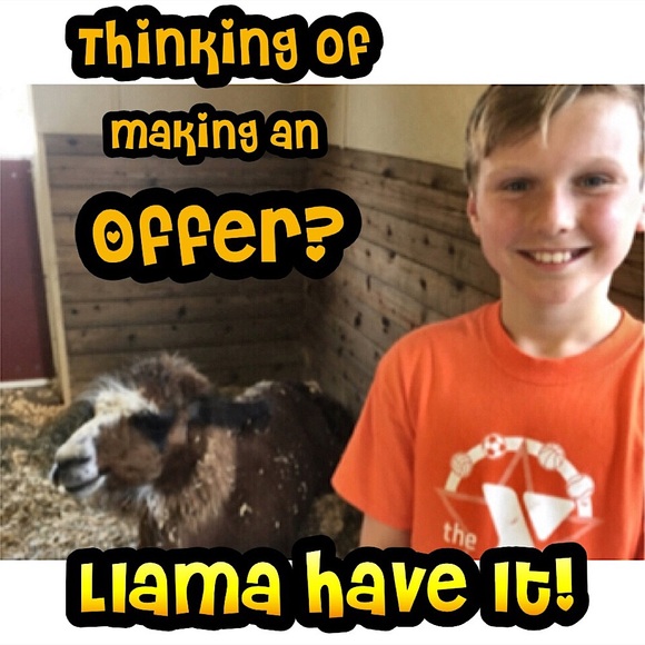 Reasonable Offers Always Considered! - Picture 1 of 7